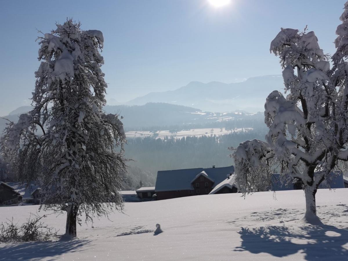 Ferienwohnung Panorama Doren Zewnętrze zdjęcie